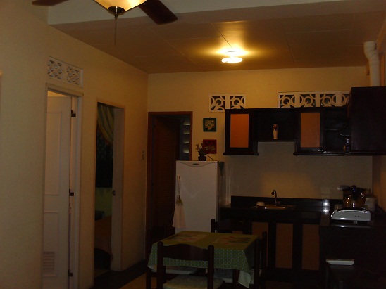 FOR RENT / LEASE: Apartment / Condo / Townhouse Cebu > Cebu City 7