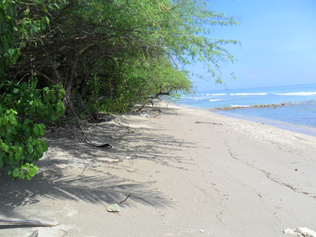 Beach Front Lot For Sale - White Sand- Lobo, Batangas