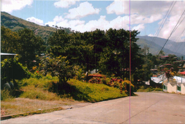 FOR SALE: Lot / Land / Farm Benguet > Baguio 3