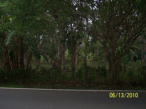 FOR SALE: Lot / Land / Farm Laguna > San Pablo City