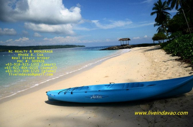 FOR SALE: Beach / Resort Davao del Sur > Samal 2