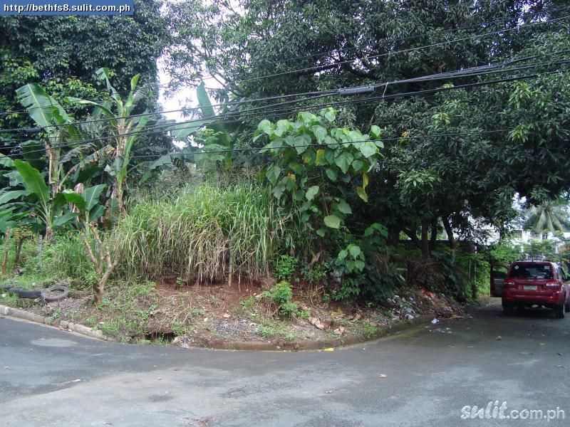  A 542 SQM. CORNER VACANT LOT @ 9,000/ sqm. , IN A SUBDIVISION. 25 METERS FRONTAGE SOUTH AND 22 METERS SIDE EAST  DIRECTION , GOOD FOR RESIDENTIAL & TOWNHOUSES DEVELOPMENT .