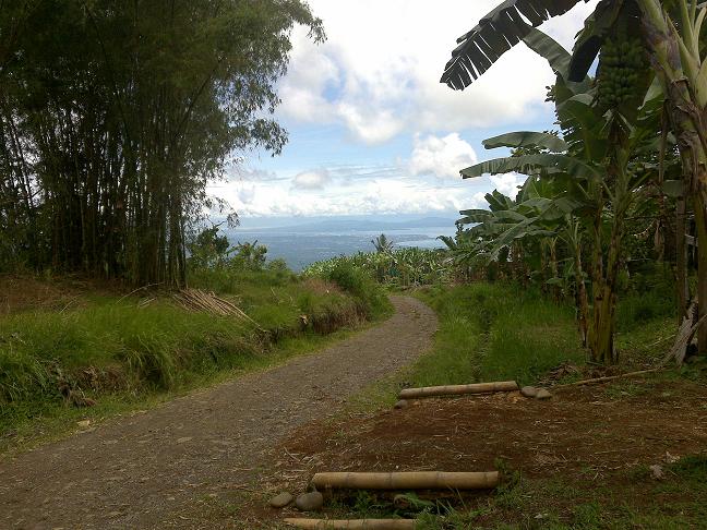 The gravel-surfaced road with overlooking view