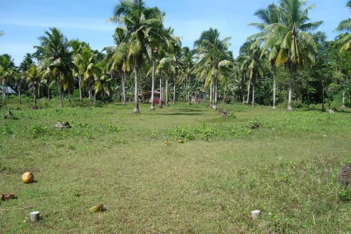 FOR SALE: Lot / Land / Farm Davao del Sur > Samal