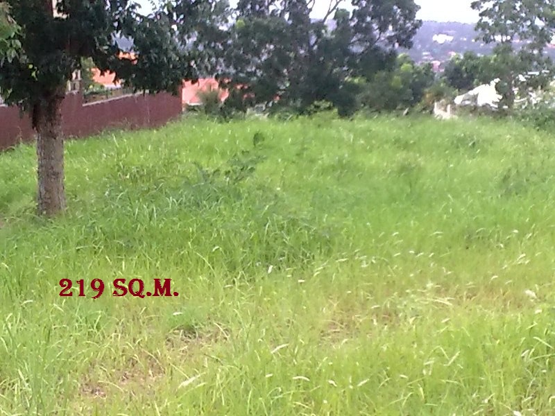 RESALE LOT @ VISTA GRANDE SUBD, PH 1 Lot for sale Vista Grande Subd. Phase1, Bulacao Talisay City, Cebu, BLk 10, LOT # .23, LOT AREA 219sq.m.@ P 8,500/sq.m. P1,861,500.00  It is Located at Col de sac, before club house, which is existing Home Owners Assoc