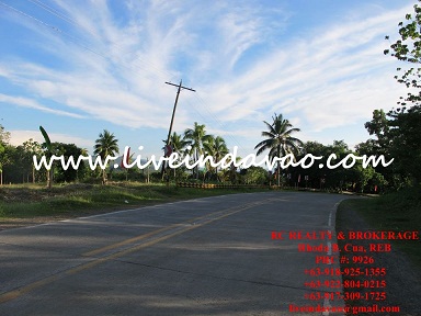 FOR SALE: Lot / Land / Farm Davao del Sur > Samal