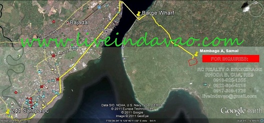 FOR SALE: Lot / Land / Farm Davao del Sur > Samal 1