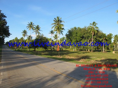 FOR SALE: Lot / Land / Farm Davao del Sur > Samal 3