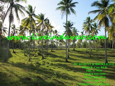 FOR SALE: Lot / Land / Farm Davao del Sur > Samal 5