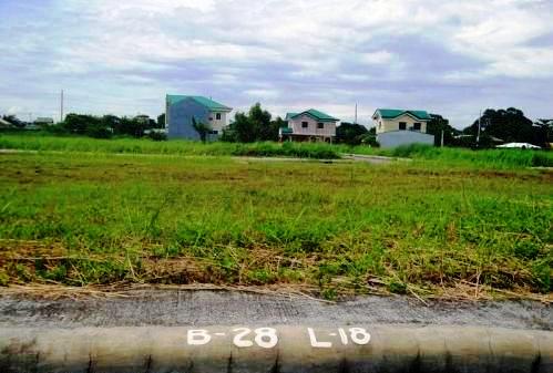 FOR SALE: Lot / Land / Farm Cavite 1