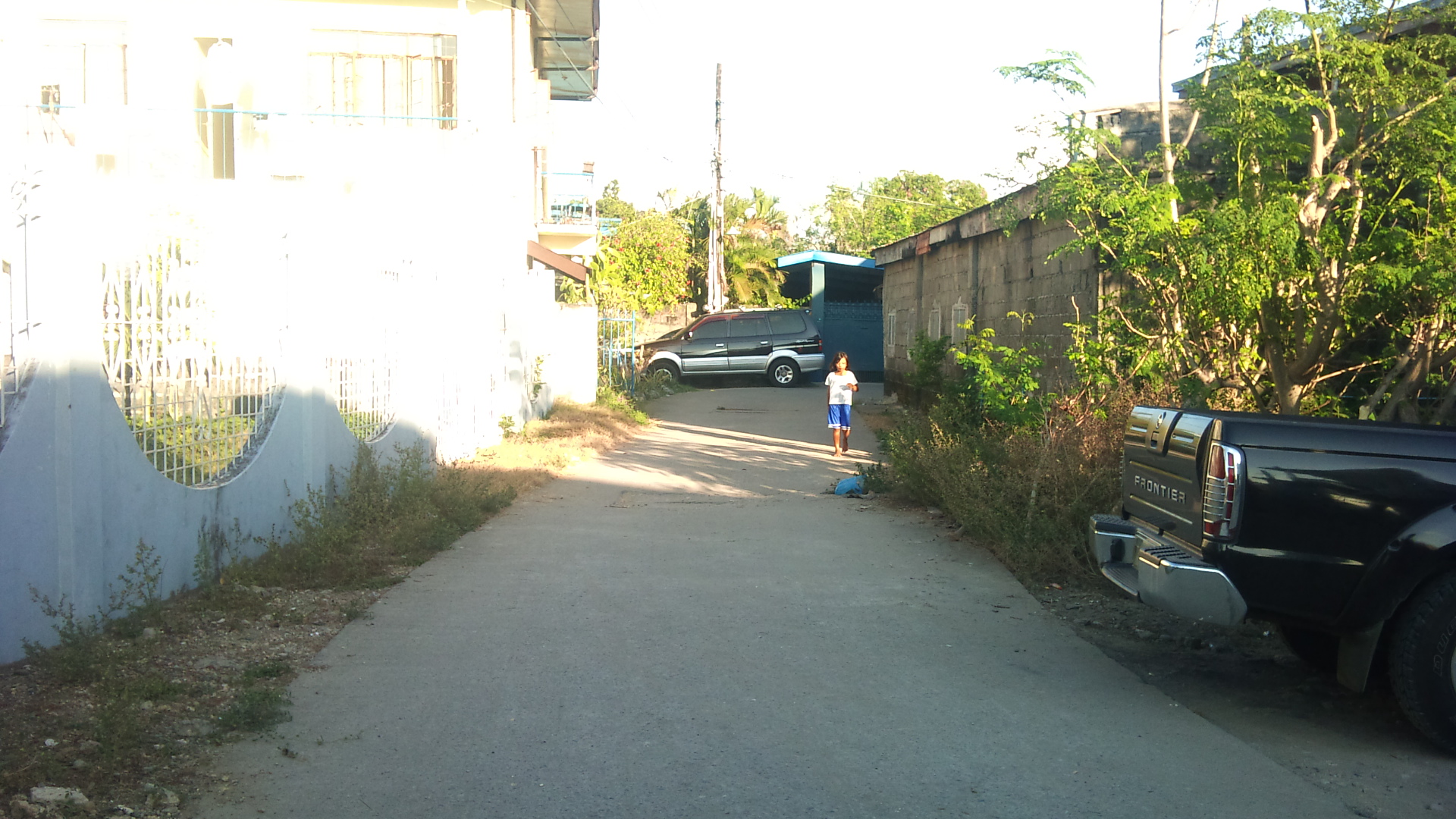 FOR SALE: Lot / Land / Farm La Union 1