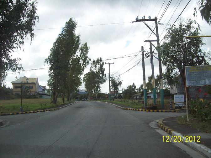 FOR SALE: Lot / Land / Farm Cavite > Dasmarinas 6