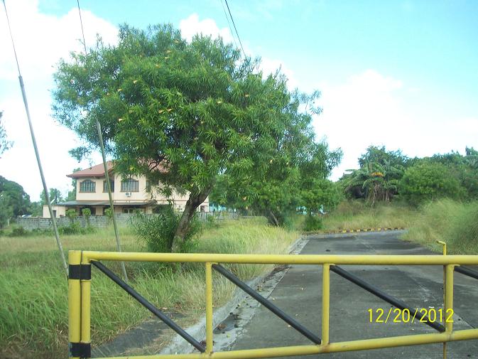 FOR SALE: Lot / Land / Farm Cavite > Dasmarinas 5