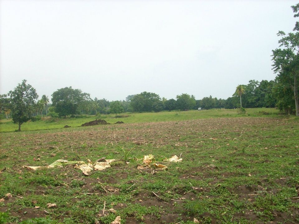 FOR SALE: Lot / Land / Farm Davao del Sur > Samal