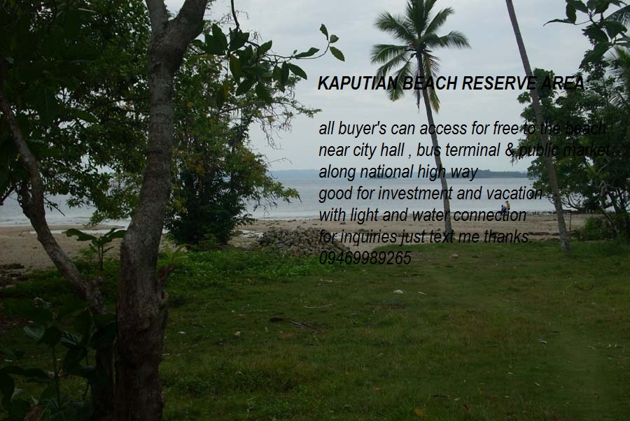 FOR SALE: Lot / Land / Farm Davao del Sur > Samal 3