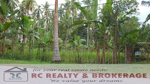 FOR SALE: Lot / Land / Farm Davao