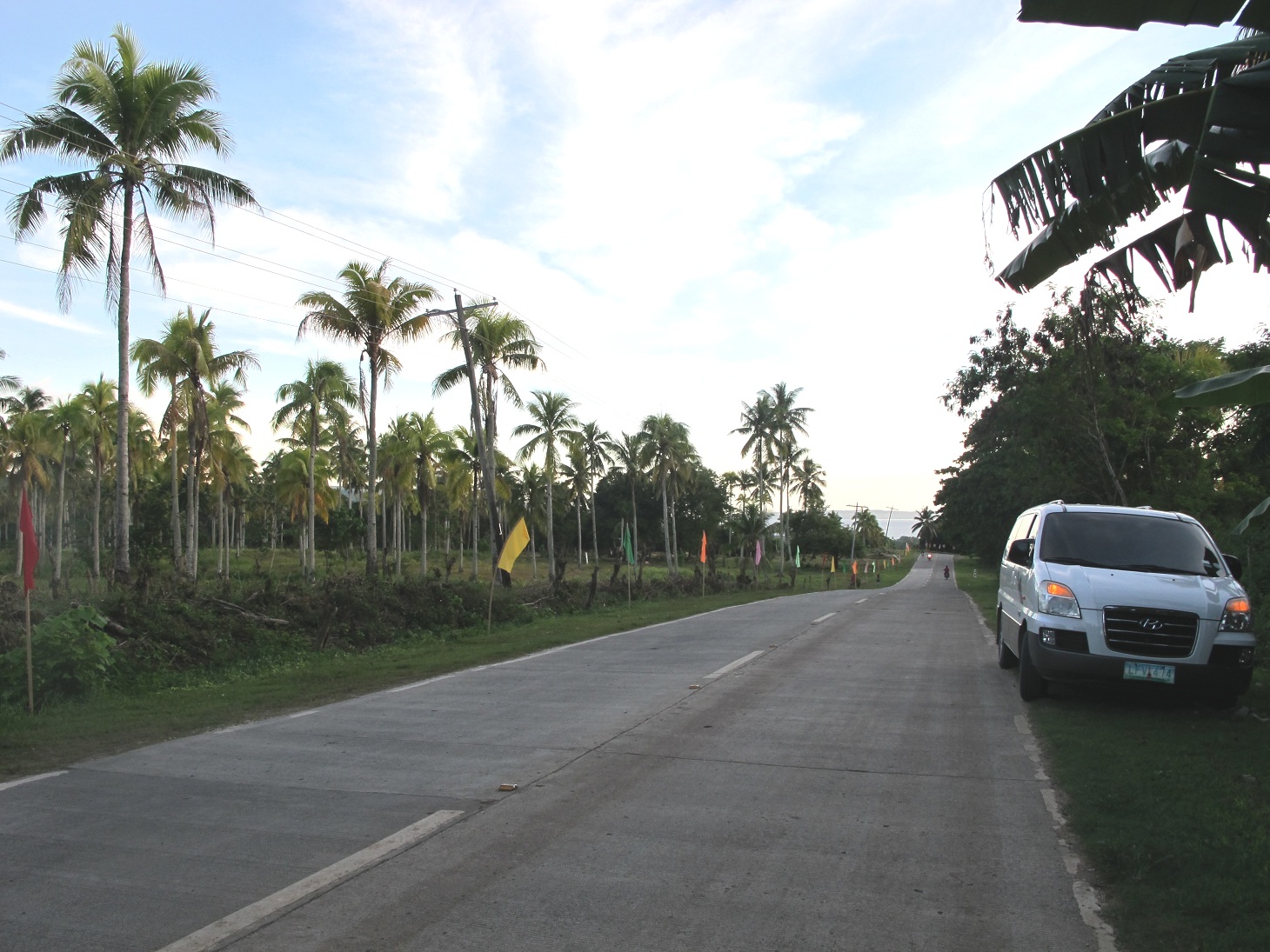 FOR SALE: Lot / Land / Farm Davao del Sur > Samal 2