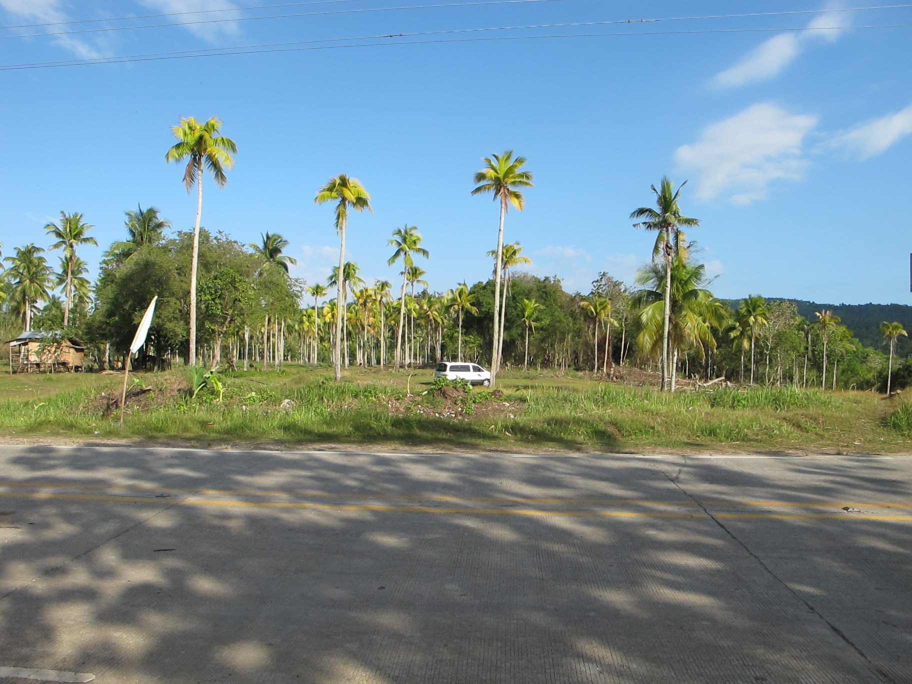 FOR SALE: Lot / Land / Farm Davao del Sur > Samal 4