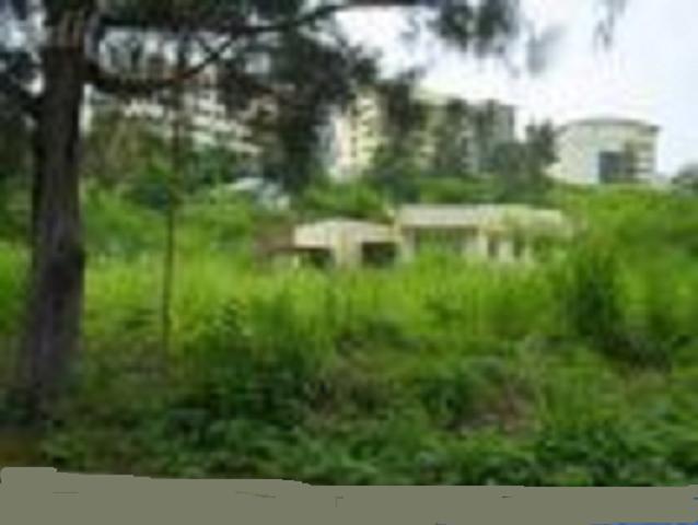 FOR SALE: Lot / Land / Farm Rizal > Antipolo 7