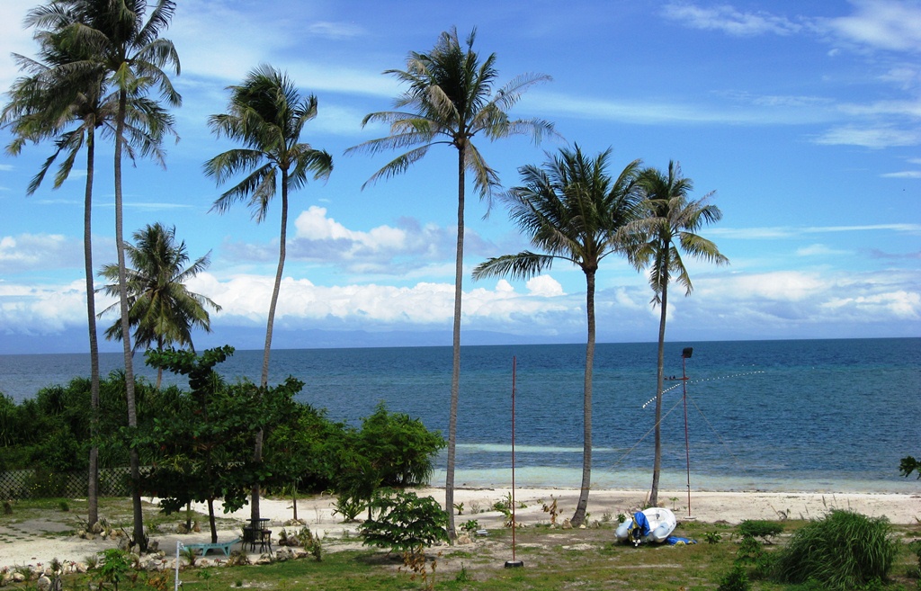 FOR SALE: Beach / Resort Bohol > Other areas 1