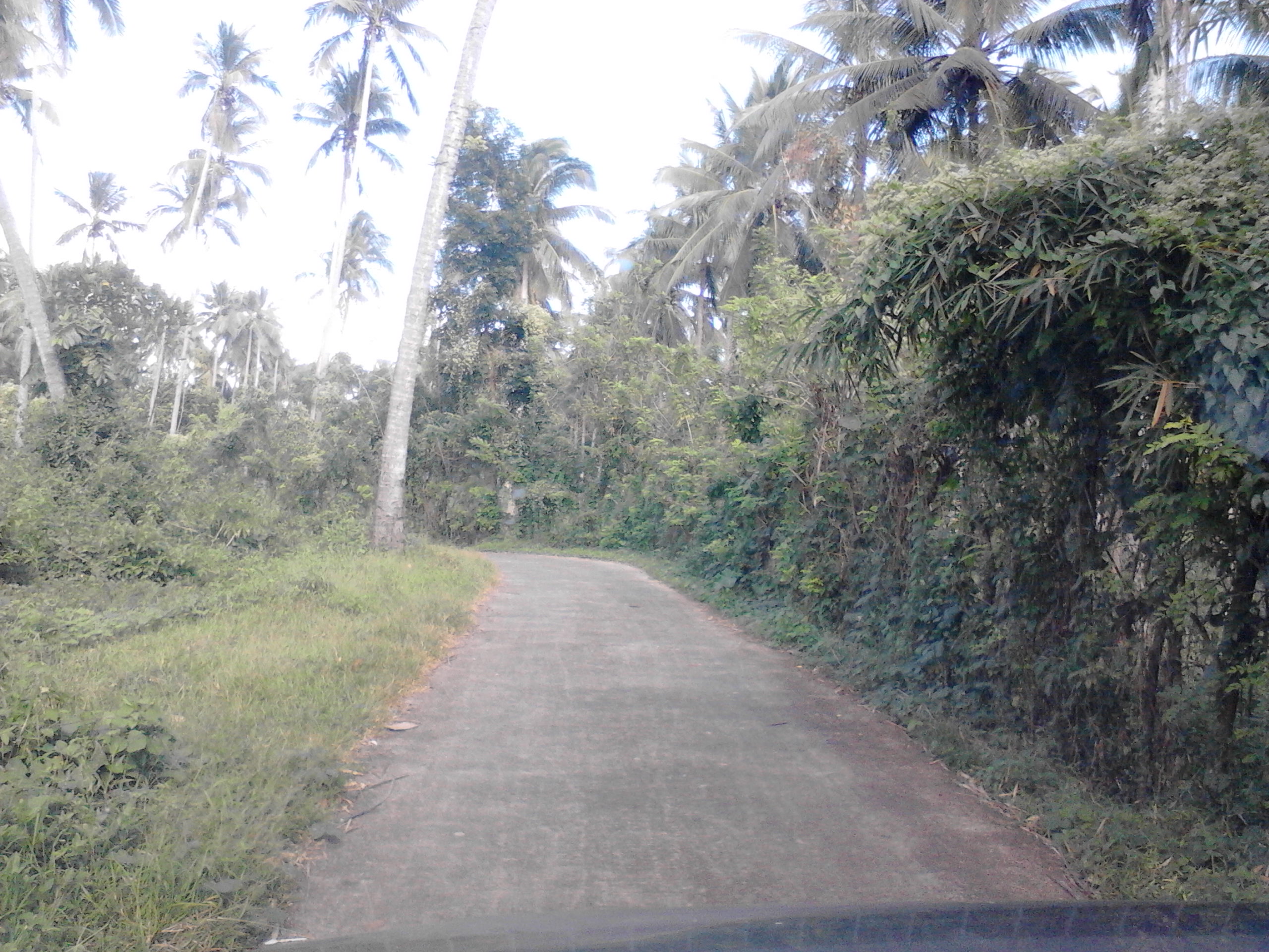 Access road