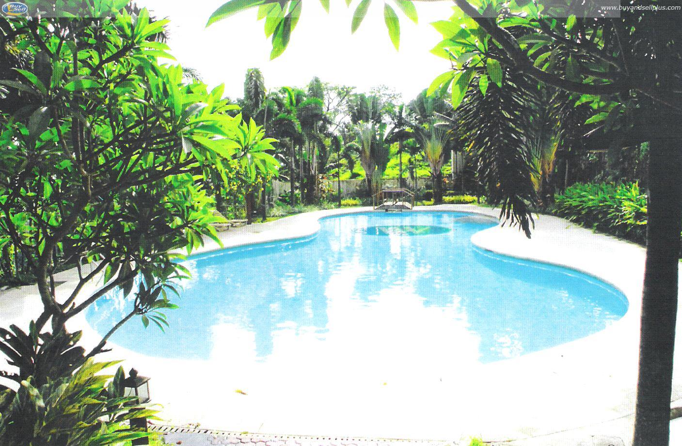 FOR SALE: Lot / Land / Farm Cavite > Silang 4