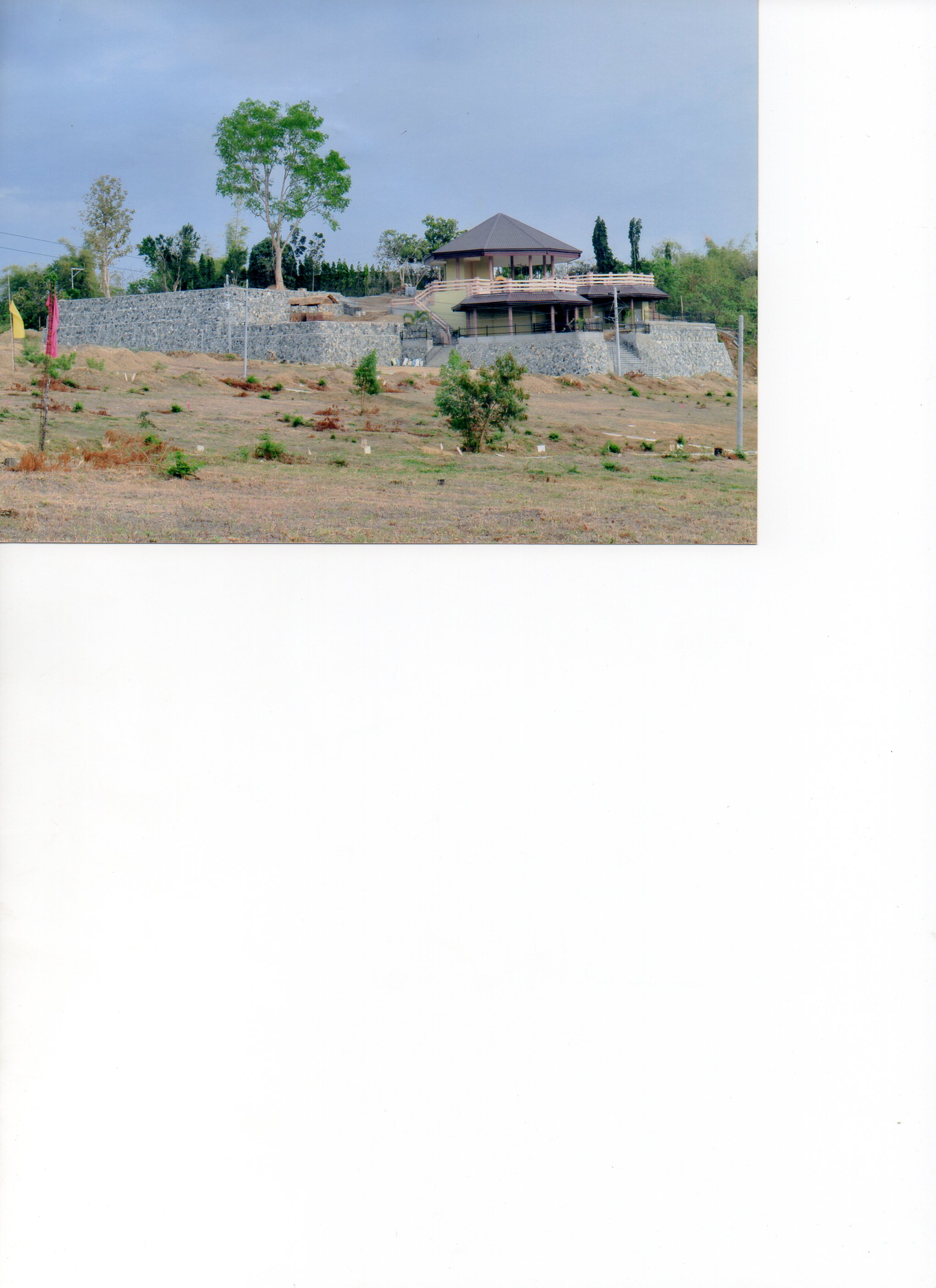 FOR SALE: Lot / Land / Farm La Union 1