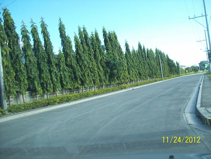 FOR SALE: Lot / Land / Farm Laguna 10