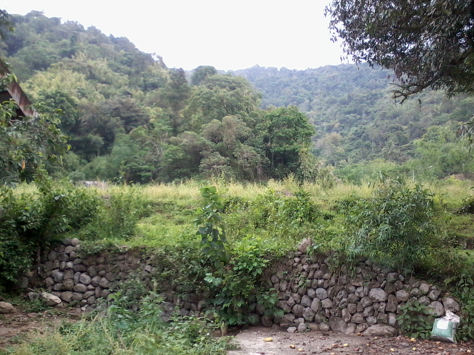 FOR SALE: Lot / Land / Farm Benguet