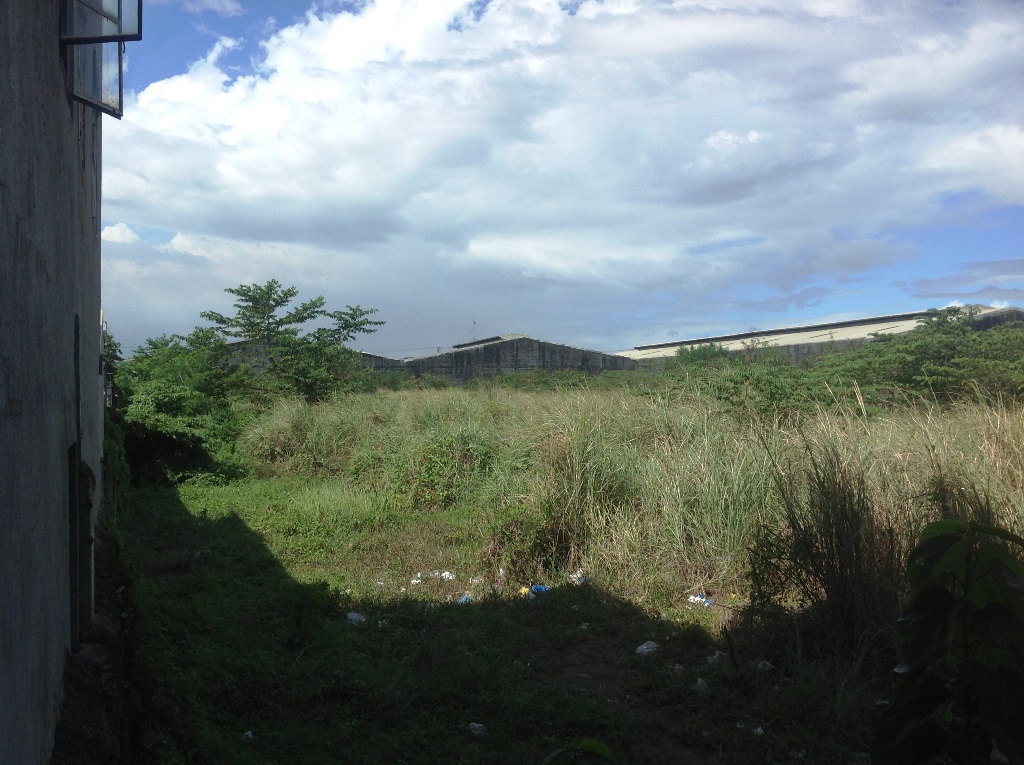 Hectare up the the boundary wall