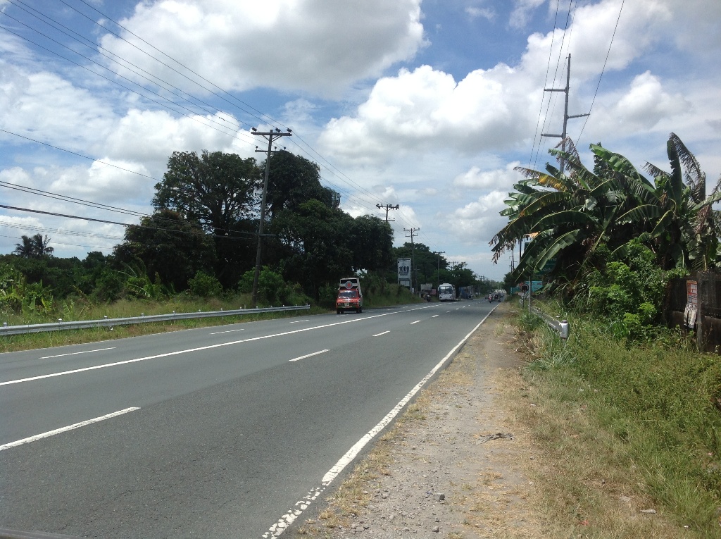 FOR SALE: Lot / Land / Farm Cavite > Silang 3