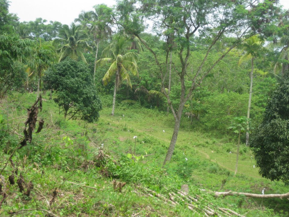 FOR SALE: Lot / Land / Farm Davao del Sur > Samal 2