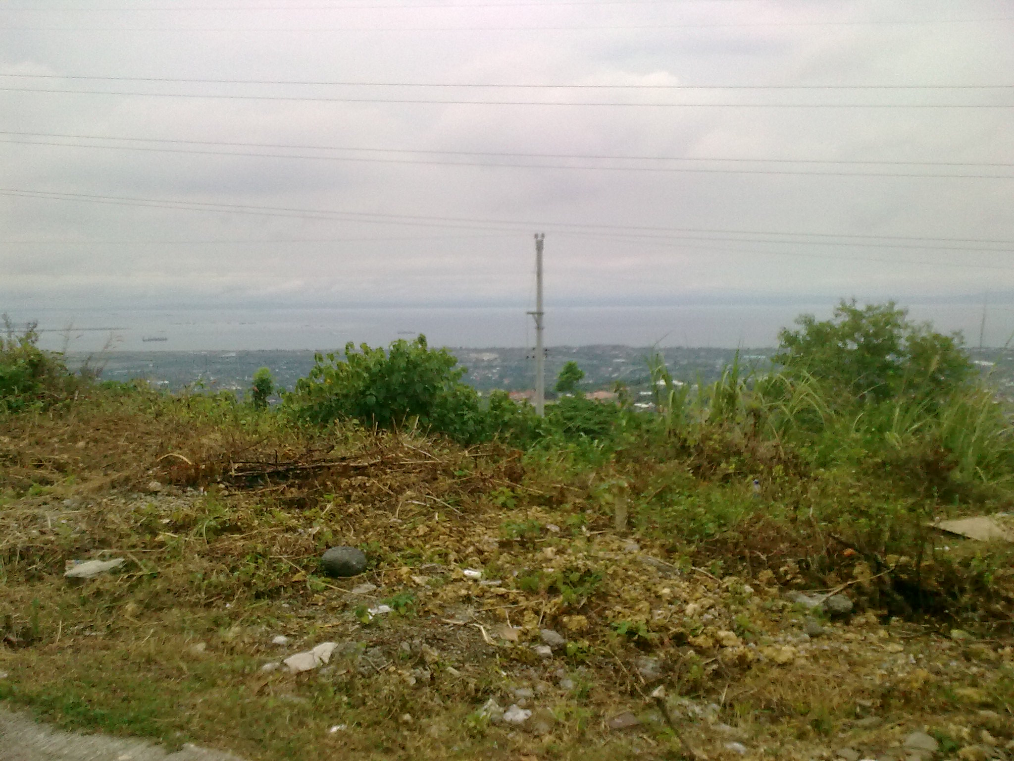 view 5