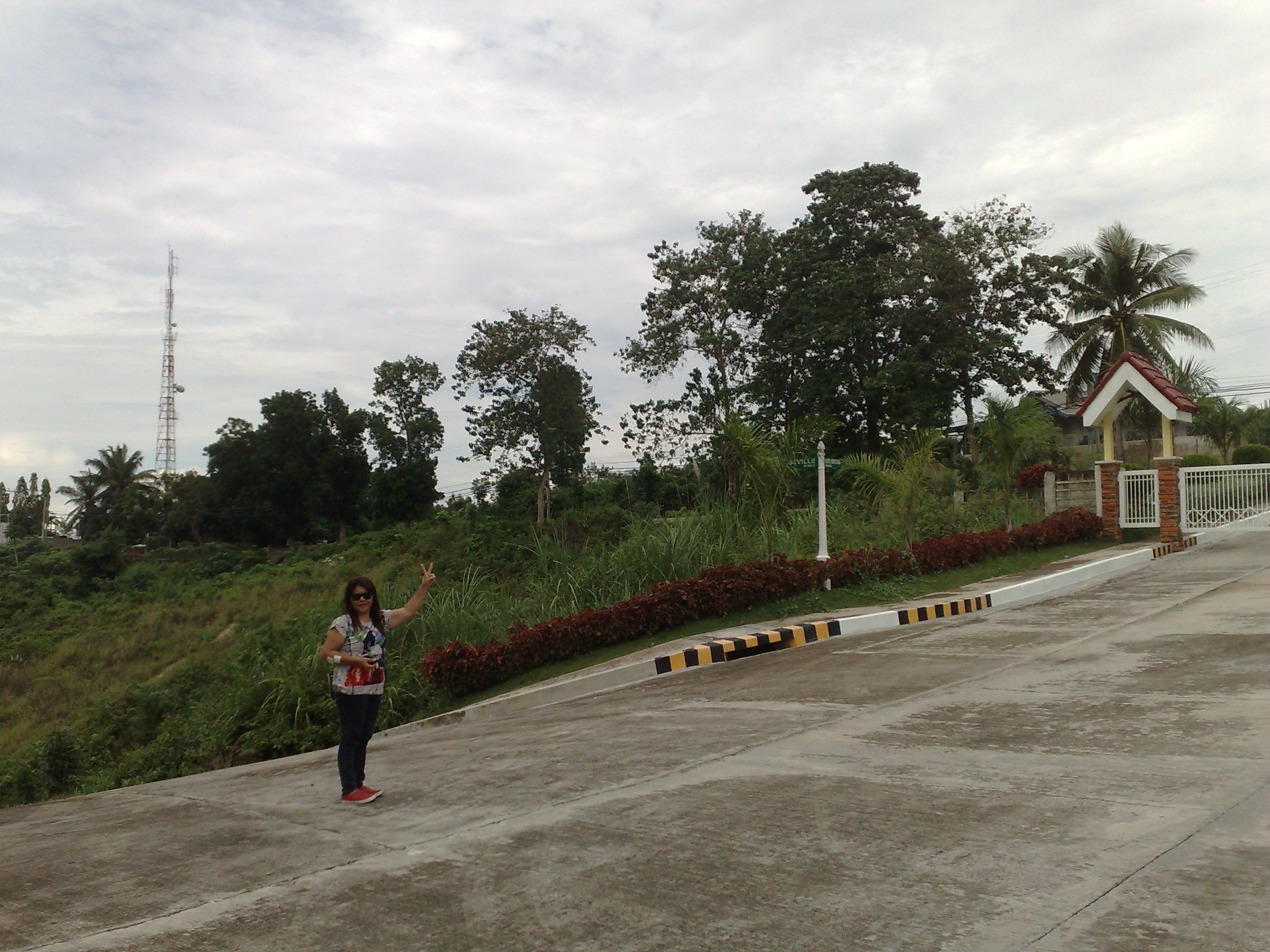 FOR SALE: Lot / Land / Farm Cebu 4