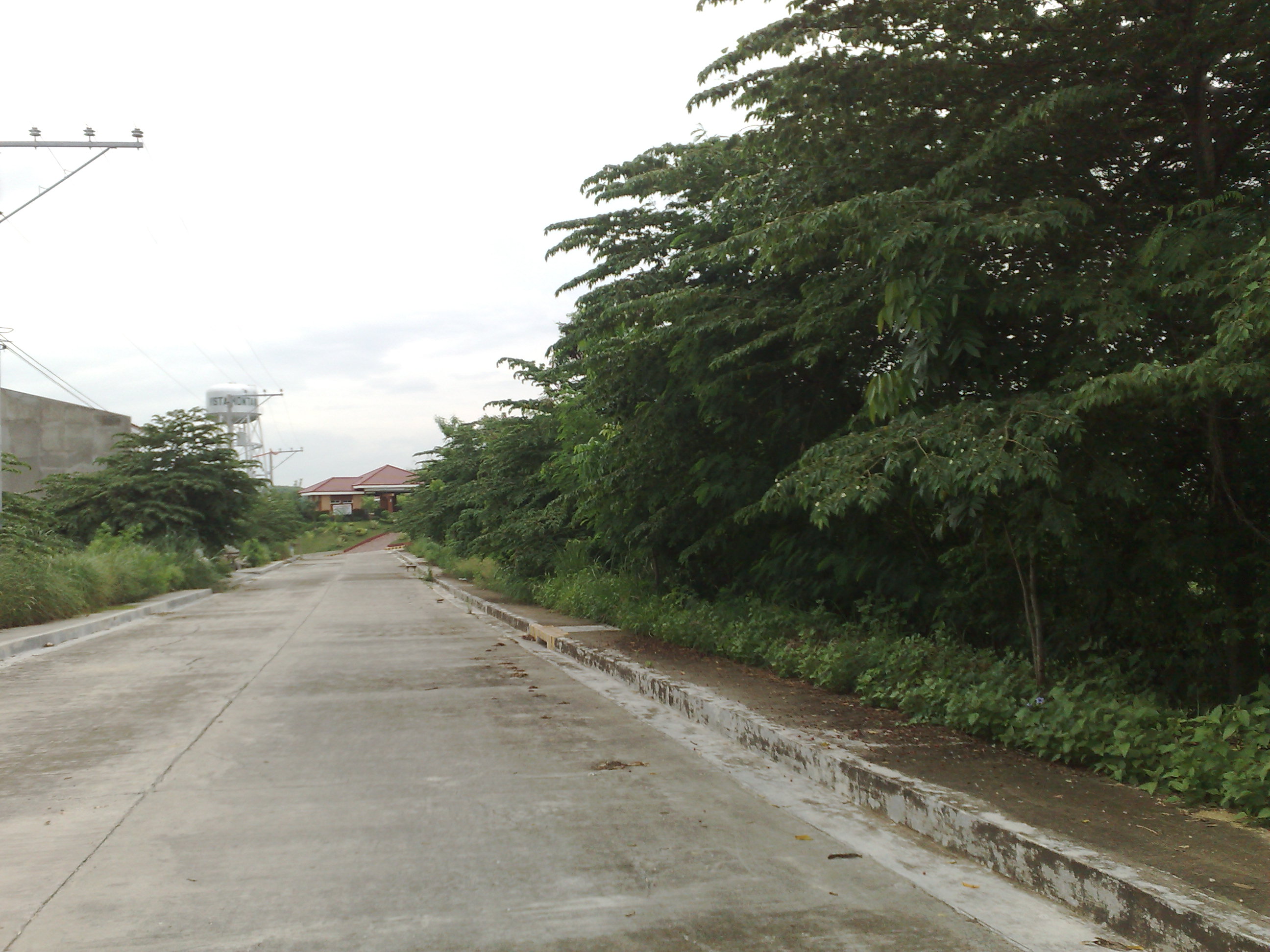 FOR SALE: Lot / Land / Farm Cebu 8