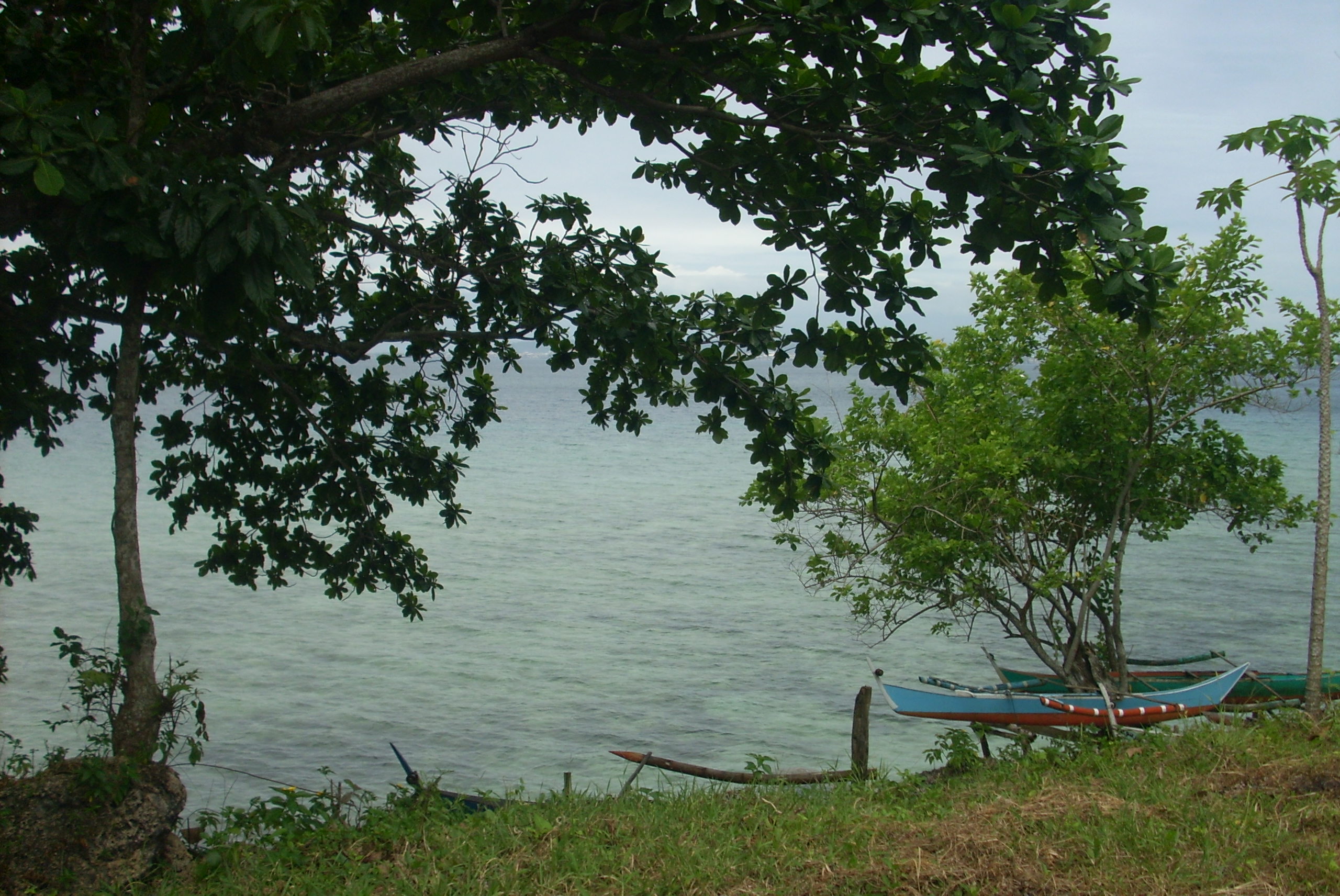 FOR SALE: Lot / Land / Farm Davao del Sur > Samal