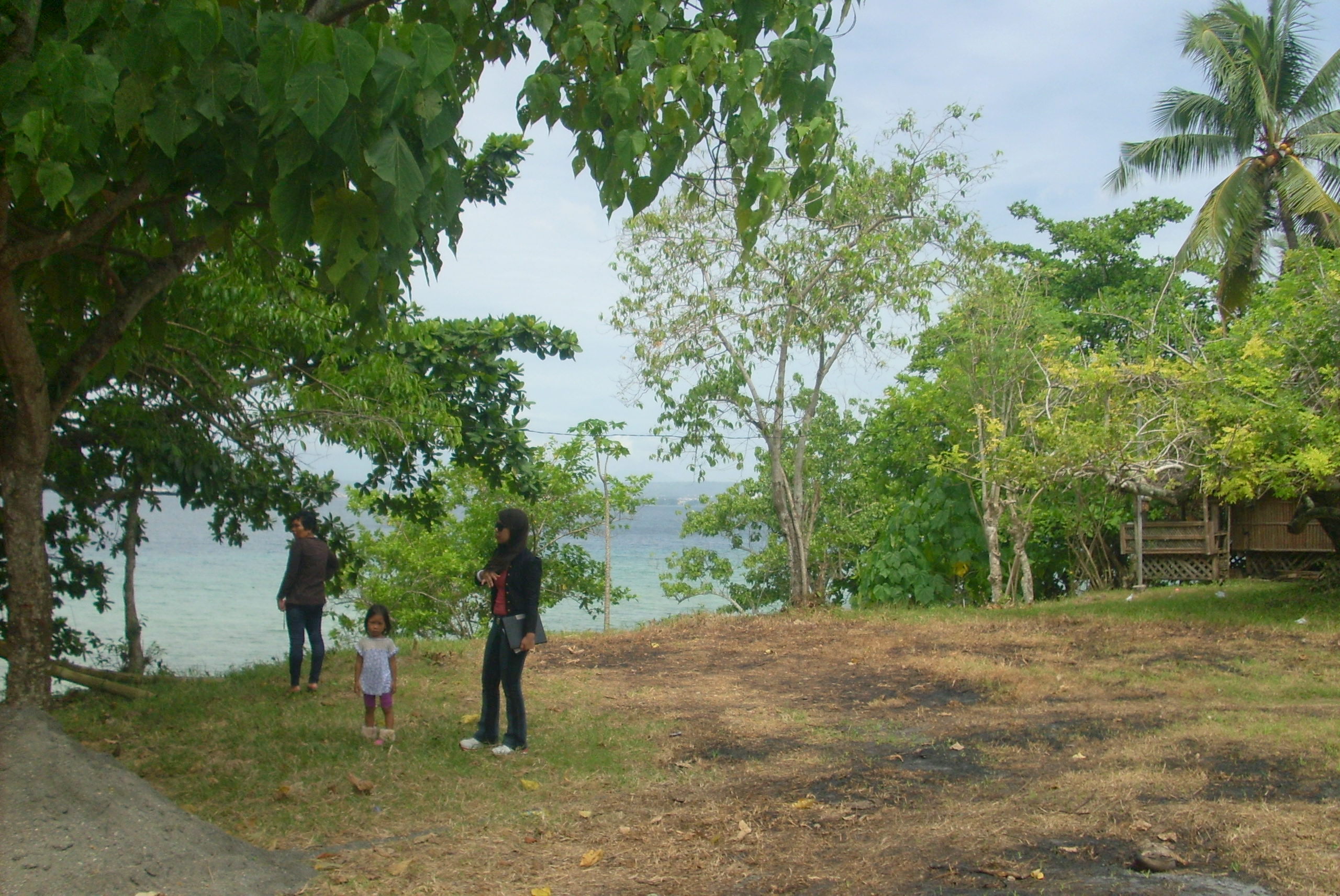 FOR SALE: Lot / Land / Farm Davao del Sur > Samal 3