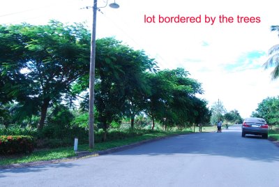 FOR SALE: Lot / Land / Farm Batangas > Batangas City 6