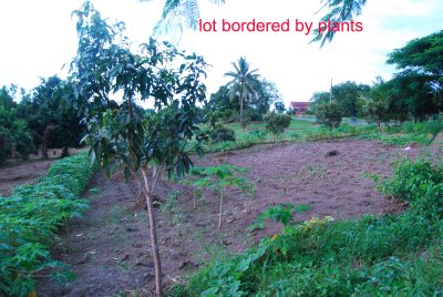 FOR SALE: Lot / Land / Farm Batangas > Batangas City 7