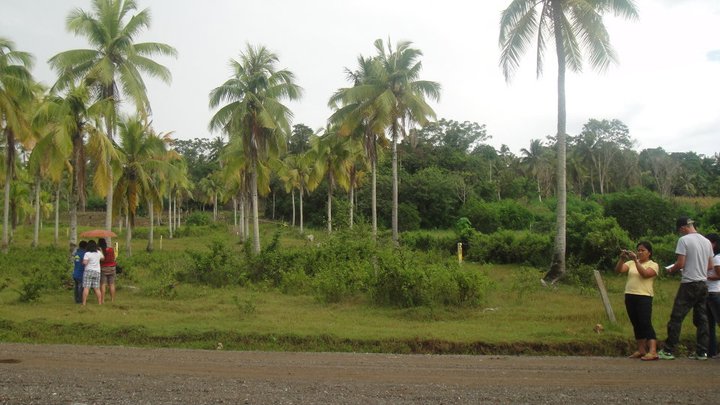 FOR SALE: Lot / Land / Farm Davao del Sur > Samal