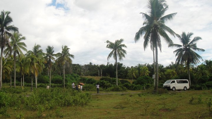 FOR SALE: Lot / Land / Farm Davao del Sur > Samal 4