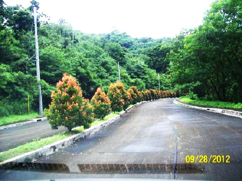 FOR SALE: Lot / Land / Farm Rizal > Other areas 16