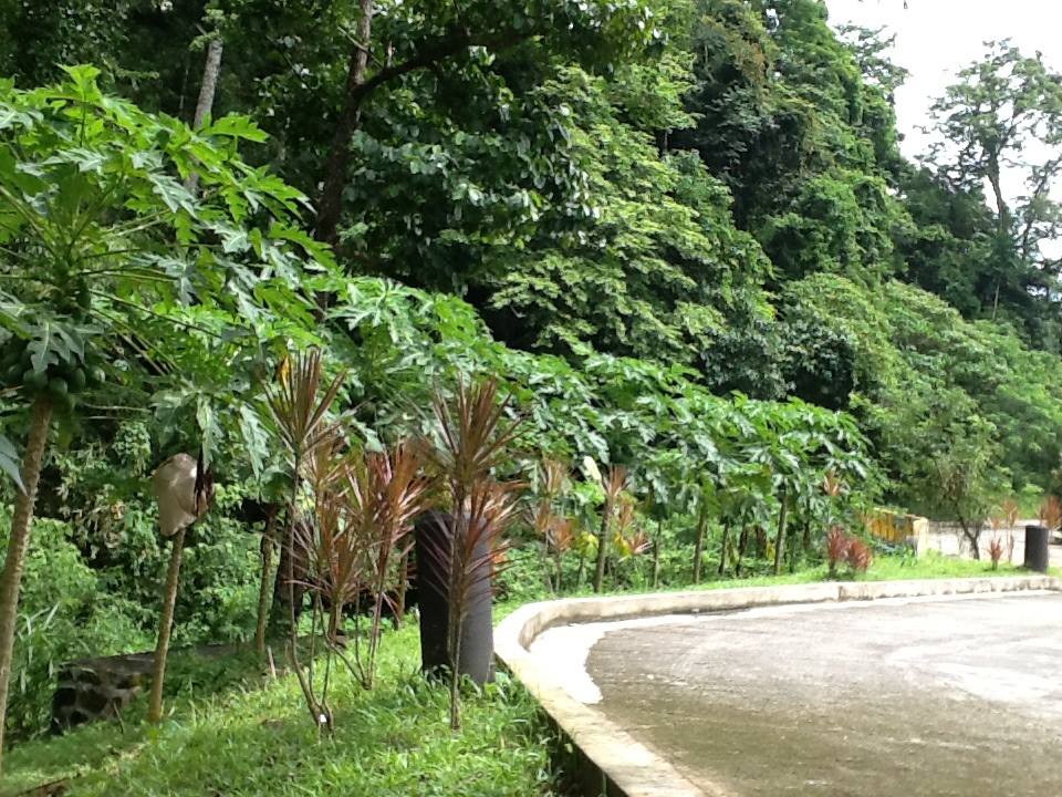 FOR SALE: Lot / Land / Farm Rizal > Other areas 19