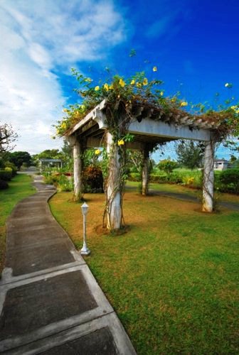 Butterfly Park