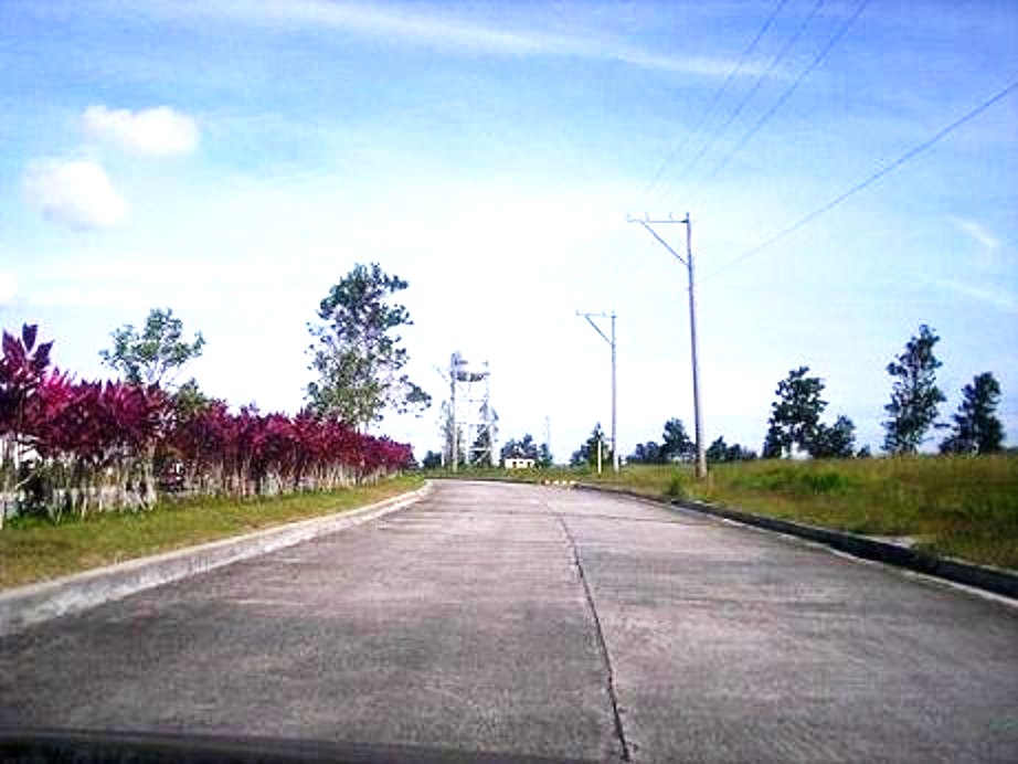 FOR SALE: Lot / Land / Farm Cavite 7