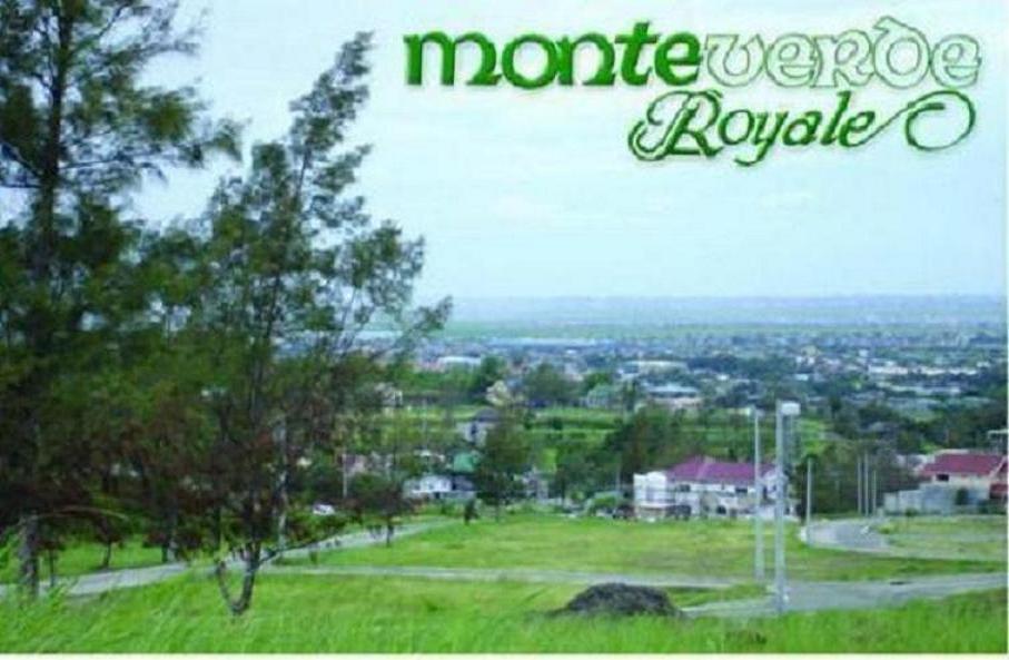 FOR SALE: Lot / Land / Farm Rizal