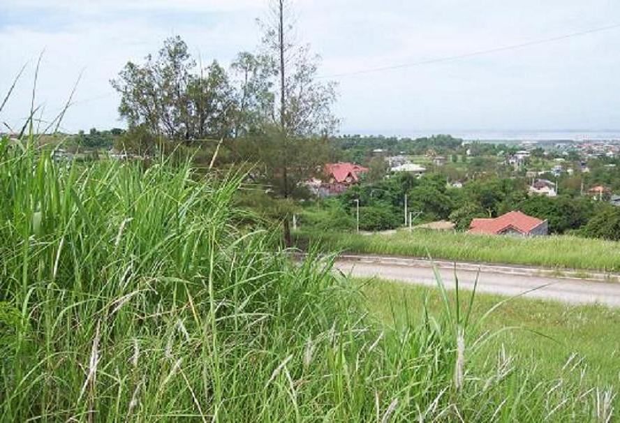 FOR SALE: Lot / Land / Farm Rizal 11