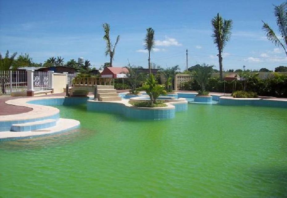 FOR SALE: Lot / Land / Farm Cavite 13