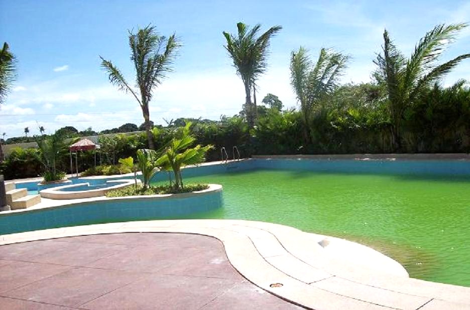 FOR SALE: Lot / Land / Farm Cavite 15