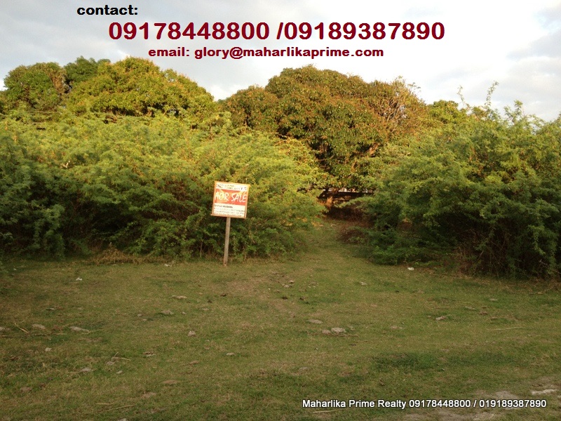 FOR SALE: Lot / Land / Farm Batangas